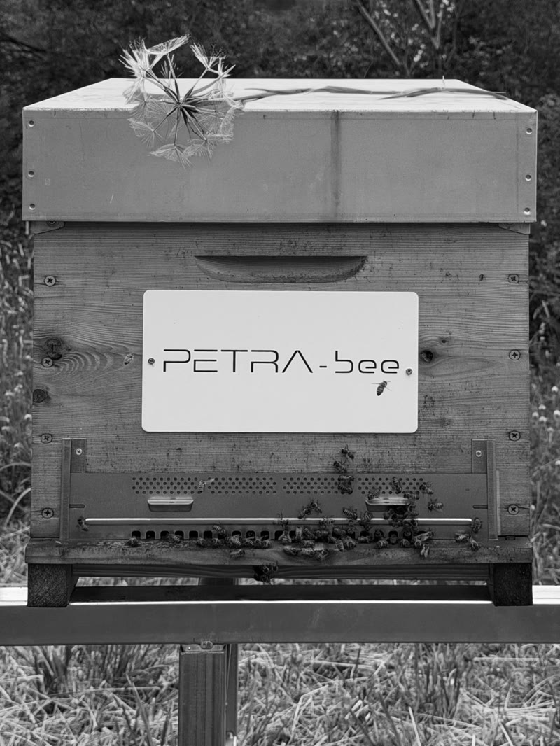 Arnia con l'etichetta PETRA-bee e api all'ingresso